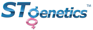 logo stgenetics en couleur