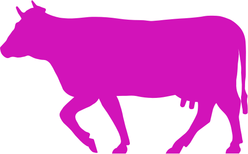 picto vache rose